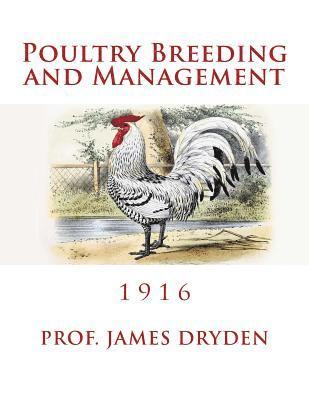 bokomslag Poultry Breeding and Management: 1916