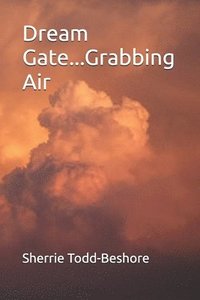 bokomslag Dream Gate...Grabbing Air