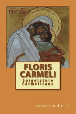 bokomslag Floris Carmeli: Spigolature Carmelitane