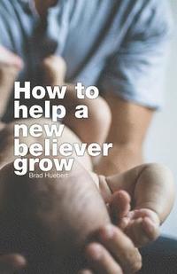 bokomslag How To Help A New Believer Grow