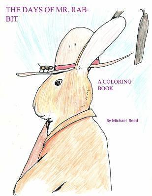 bokomslag The Days of Mr. Rabbit