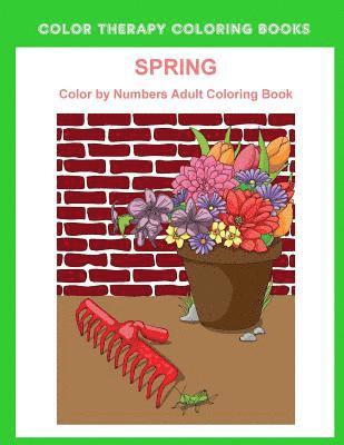 bokomslag Spring Color By Numbers Adult Coloring Book: A Large Print and Easy Color by Number Adult Coloring Book of Spring Flowers, Birds, Butterflies, Bunnies