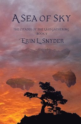 Erin L. Snyder - A Sea of Sky, Häftad
