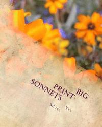 bokomslag Big Print Sonnets
