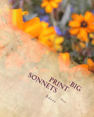 Big Print Sonnets 1