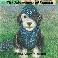 bokomslag The Adventures of Samson
