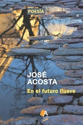 bokomslag En el futuro llueve: Accésit Premio Internacional de Poesía Casa de Teatro, 2000