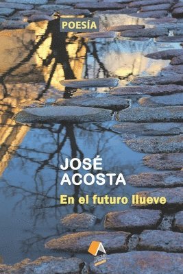 En el futuro llueve: Accésit Premio Internacional de Poesía Casa de Teatro, 2000