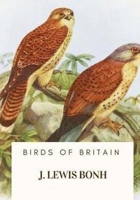 bokomslag Birds of Britain