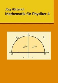 bokomslag Mathematik für Physiker 4