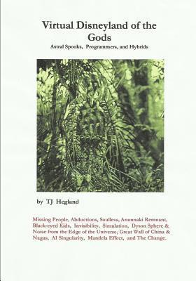 T. J. Hegland - Virtual Disneyland of the Gods, Häftad