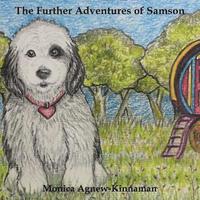 bokomslag The Further Adventures of Samson