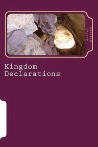 bokomslag Kingdom Declarations: Use Your Words