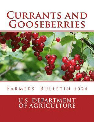 Currants and Gooseberries: Farmers' Bulletin 1024 1