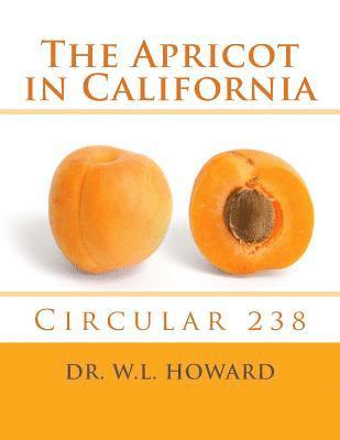 bokomslag The Apricot in California: Circular 238