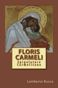 bokomslag Floris Carmeli: Spigolature Carmelitane