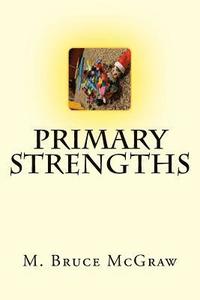bokomslag Primary Strengths