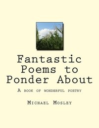 bokomslag Fantastic Poems to Ponder About: A book of wonderful poetry