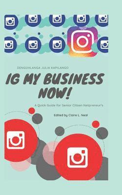 Ig My Business Now!!!!: A Quick Guide for Senior Citizen Netpreneur's 1