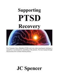 bokomslag Supporting Ptsd Recovery