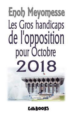 bokomslag Les gros handicaps de l'opposition en 2018