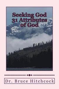 bokomslag Seeking God: 31 Attributes of God