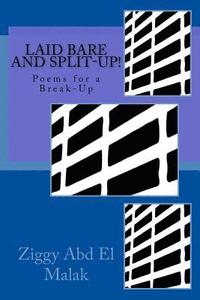 bokomslag Laid Bare and Split-Up!: Poems for a Break-Up