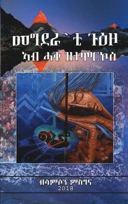 Mr Samson M. Mehreteab - Tragedy of Journey, Häftad