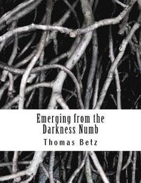 bokomslag Emerging from the Darkness Numb: Poems, Vignettes, and Stories