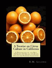 bokomslag A Treatise on Citrus Culture in California: A Description of the Best Varieties Grown in the State and Varieties Grown in Other States and Foreign Cou