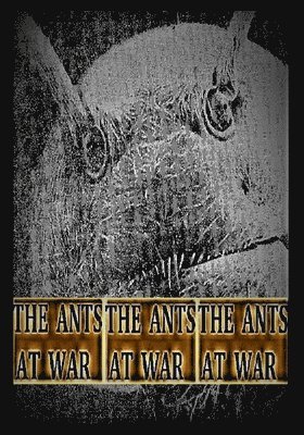 The Ants at War 1