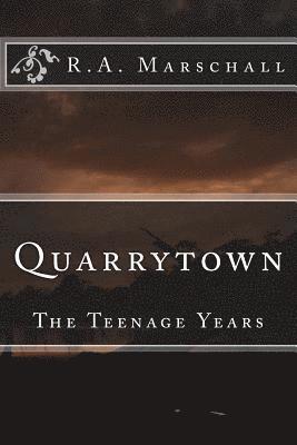 bokomslag Quarrytown: The Teenage Years