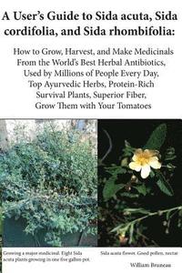 bokomslag A User's Guide to Sida acuta, Sida cordifolia, and Sida rhombifolia: : How to Grow, Harvest, and Make Medicinals from the World's Best Herbal Antibiot