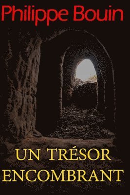 bokomslag Un trésor encombrant