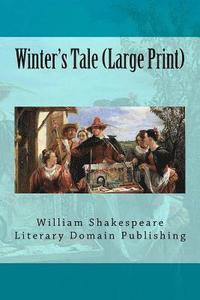 bokomslag Winter's Tale (Large Print)