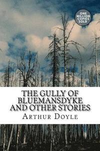 bokomslag The Gully of Bluemansdyke And Other stories