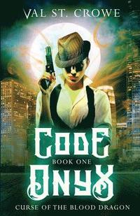 bokomslag Code Onyx