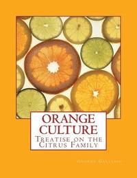 bokomslag Orange Culture: Treatise on the Citrus Family