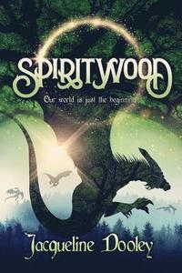 bokomslag Spiritwood