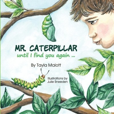 Mr. Caterpillar 1