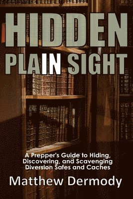 Hidden In Plain Sight 1