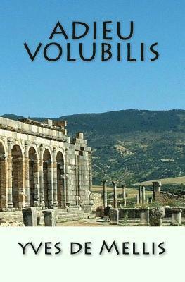 bokomslag Adieu Volubilis