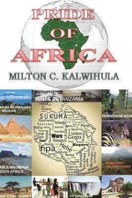 MC C. Kalwihula Nra - Pride of Africa: Youth Economic Development, Häftad