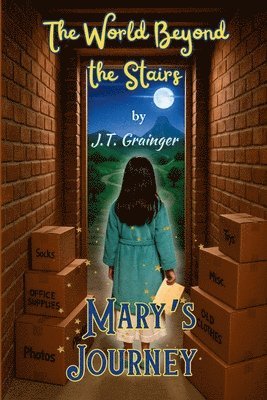 bokomslag The World Beyond the Stairs: Mary's Journey