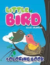 bokomslag Bird Coloring Book: coloring and activity books for kids ages 4-8