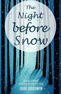 bokomslag The Night Before Snow