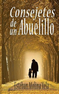 bokomslag Consejetes De Un Abuelillo