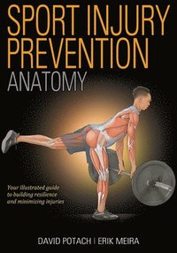 bokomslag Sport Injury Prevention Anatomy