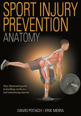 bokomslag Sport Injury Prevention Anatomy