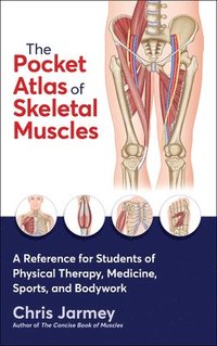 bokomslag The Pocket Atlas of Skeletal Muscles